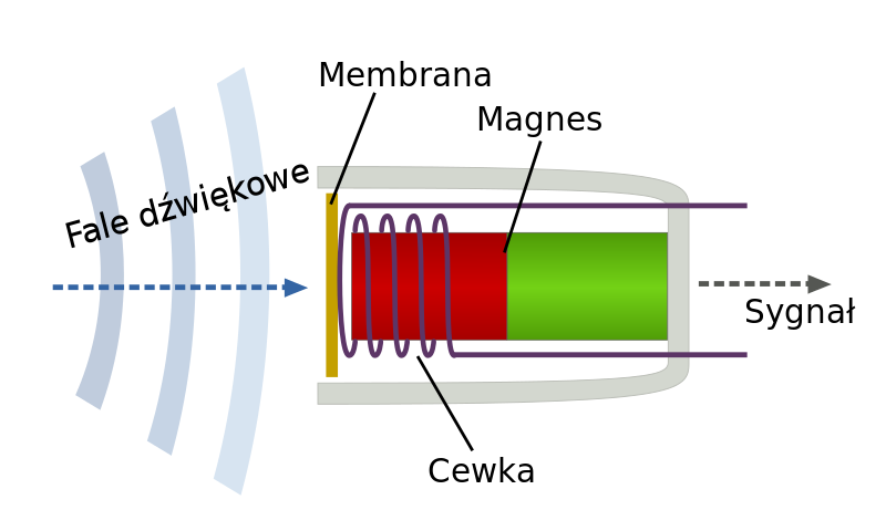 Schemat mikrofonu dynamicznego: membrana porusza cewką w polu magnesu.