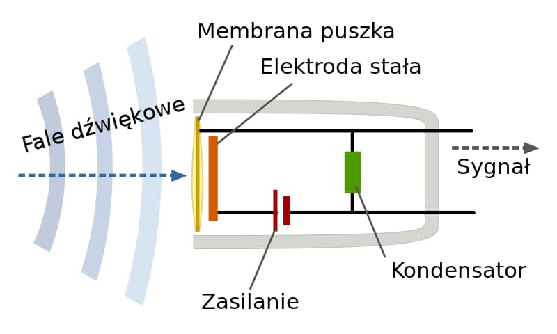 Schemat mikrofonu pojemnościowego: membrana i tylna elektroda tworzą kondensator.